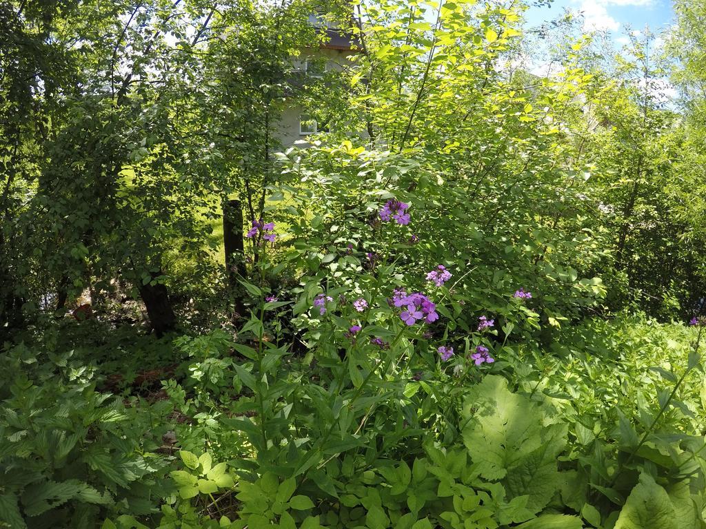 Willa Sunshine Zakopane Chalet Εξωτερικό φωτογραφία