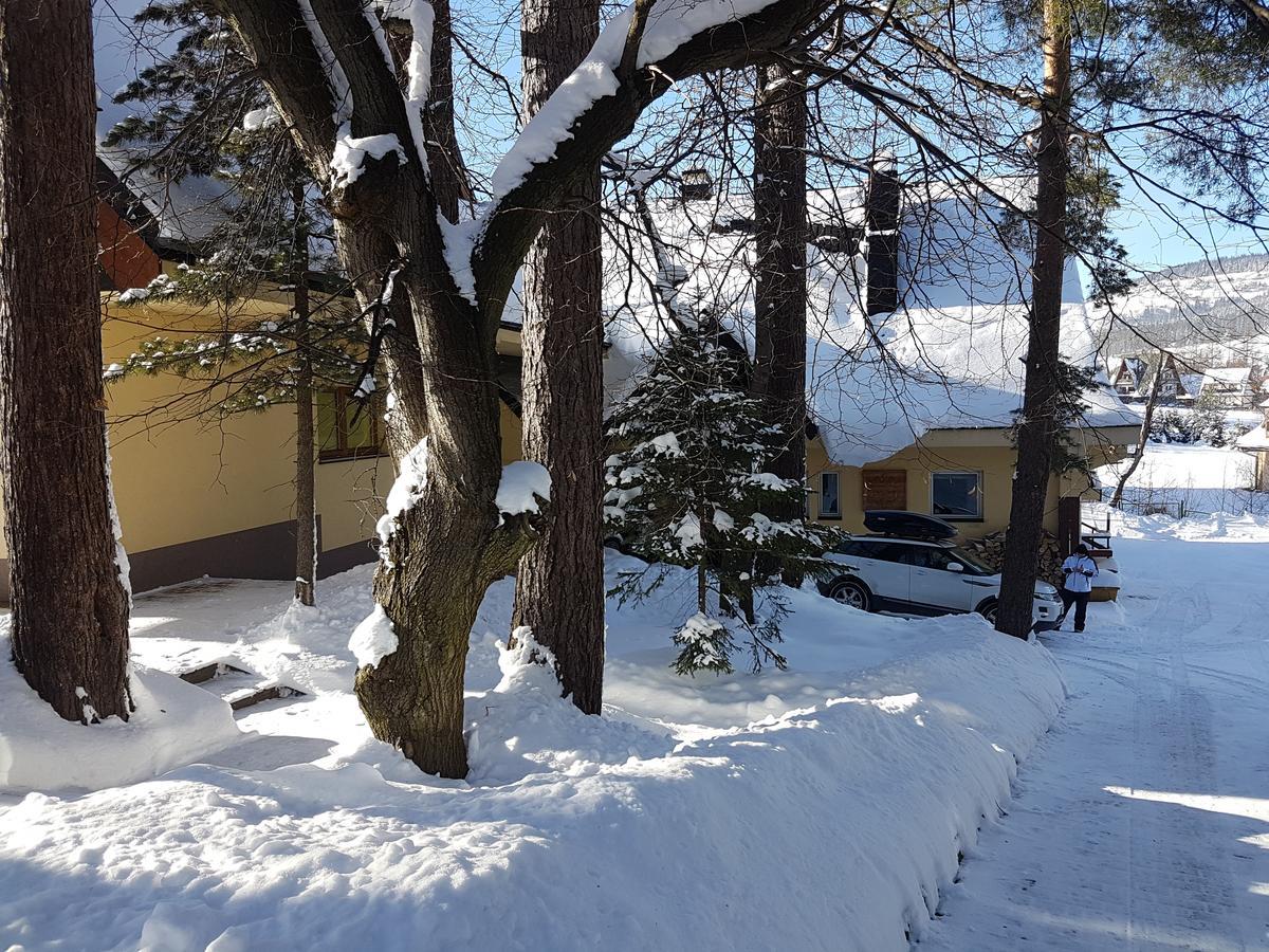 Willa Sunshine Zakopane Chalet Εξωτερικό φωτογραφία