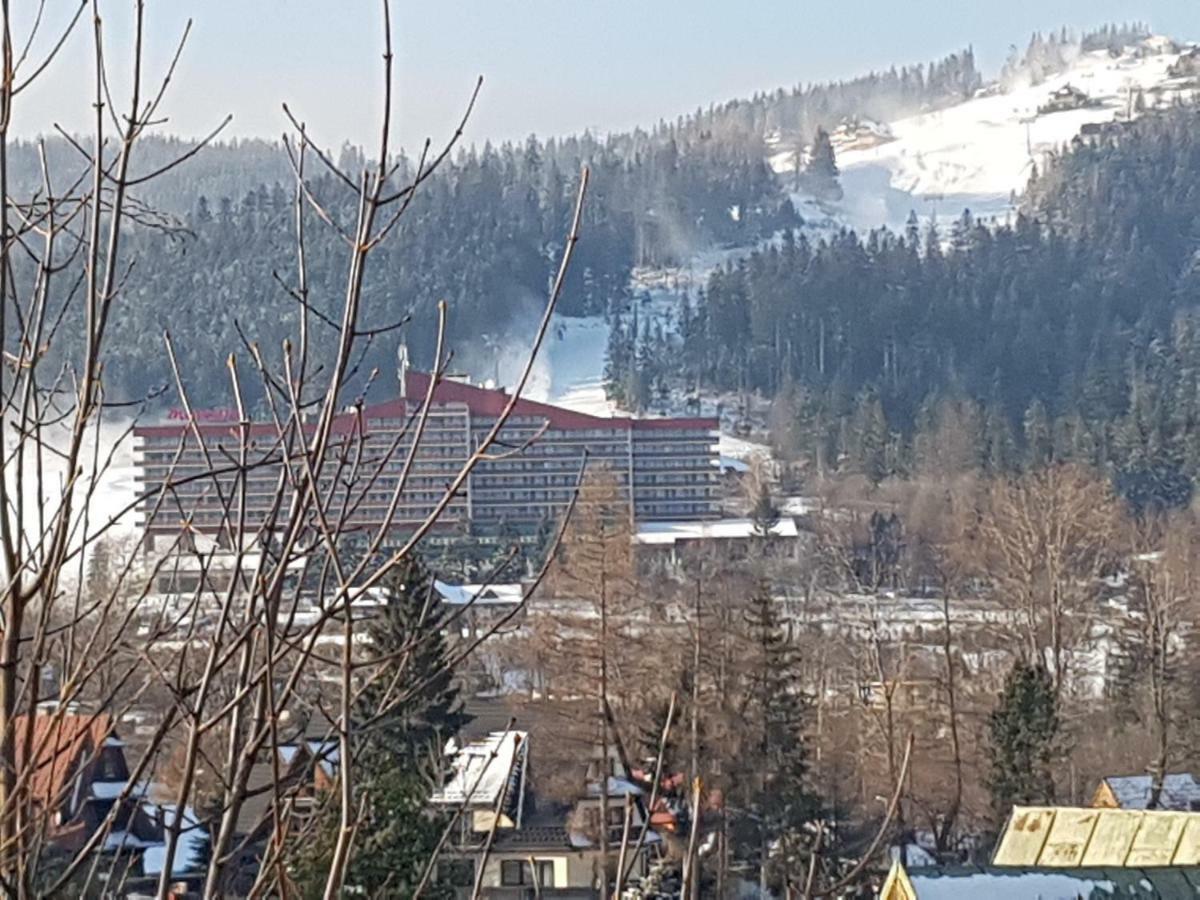 Willa Sunshine Zakopane Chalet Εξωτερικό φωτογραφία